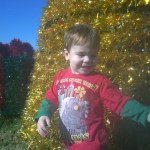 Dadurday with Guster - Petland