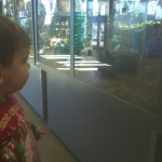 Dadurday with Guster - Petland