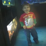 Dadurday with Guster - Petland