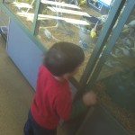 Dadurday with Guster - Petland