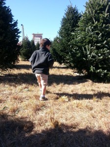 Gus and Lucas Shaffer at the Christmas Tree